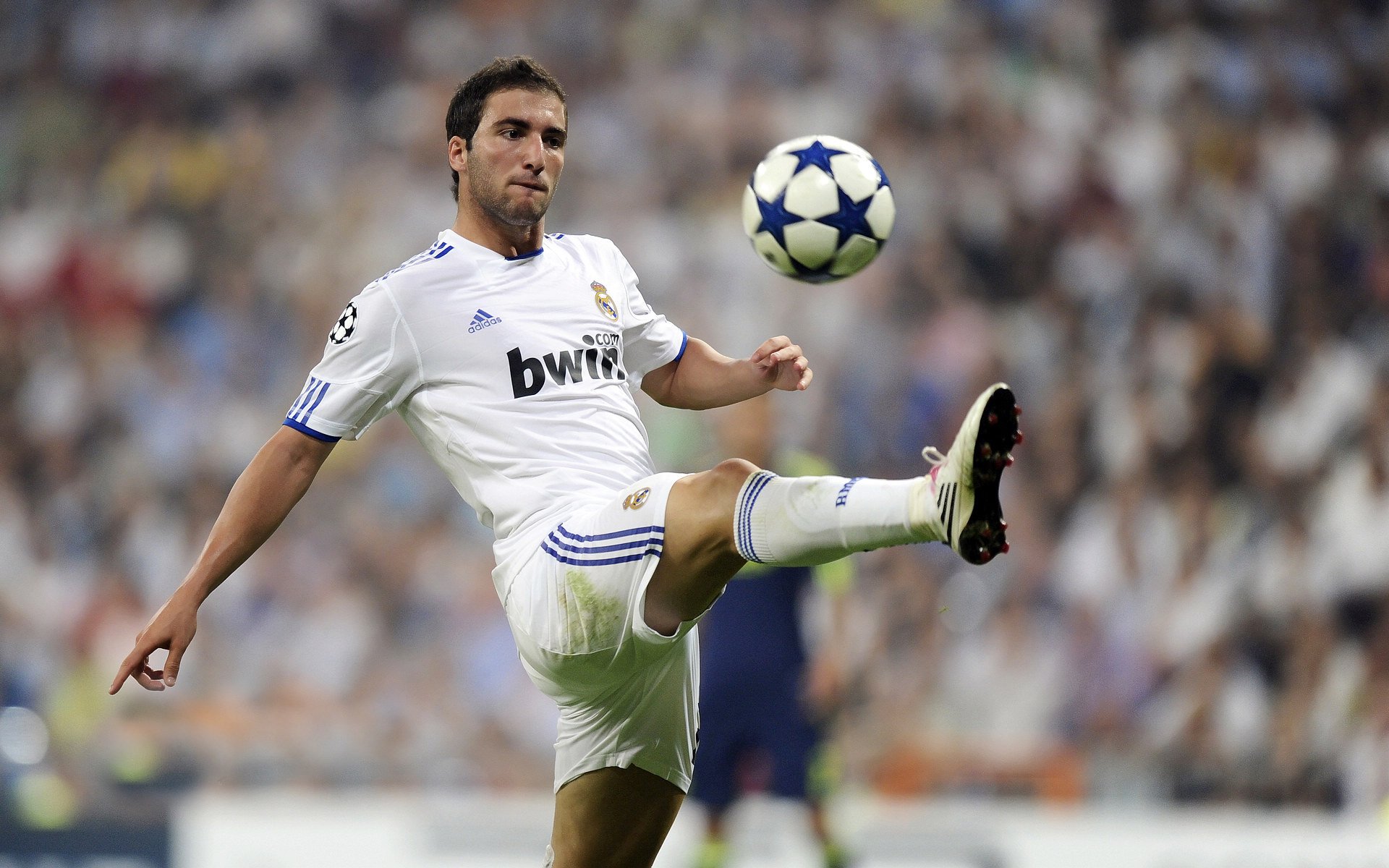 篮球连接世界，中国闪耀赛场